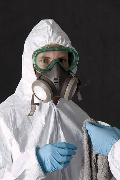 Emerald Bay, TX Mold Removal Company